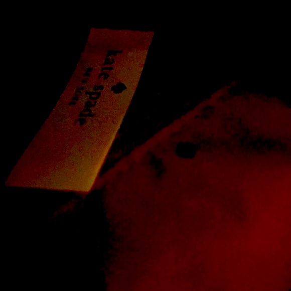 COPY - Kate Spade Leather Mini Back Pack Merlot - Picture 4 of 6